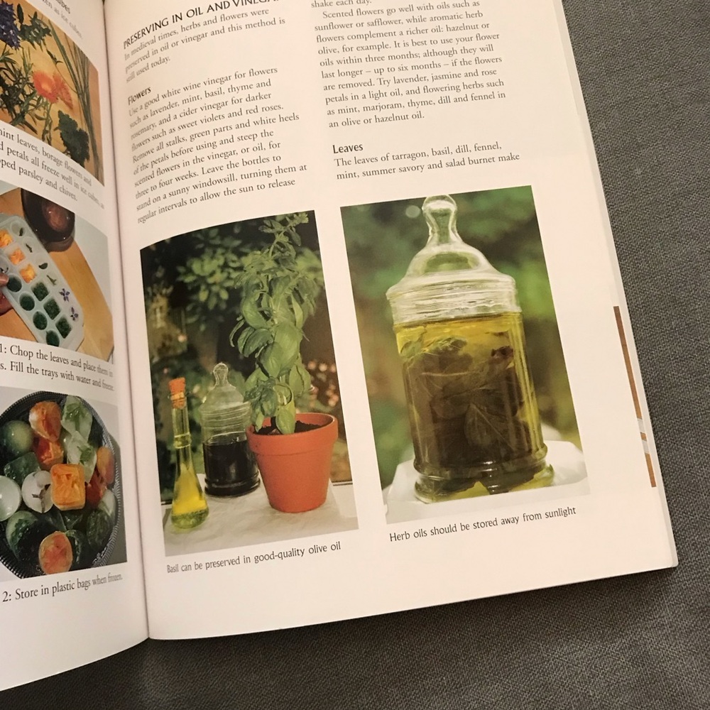 Beginners' Guide to Herb Gardening Book - Picture 4 of 8